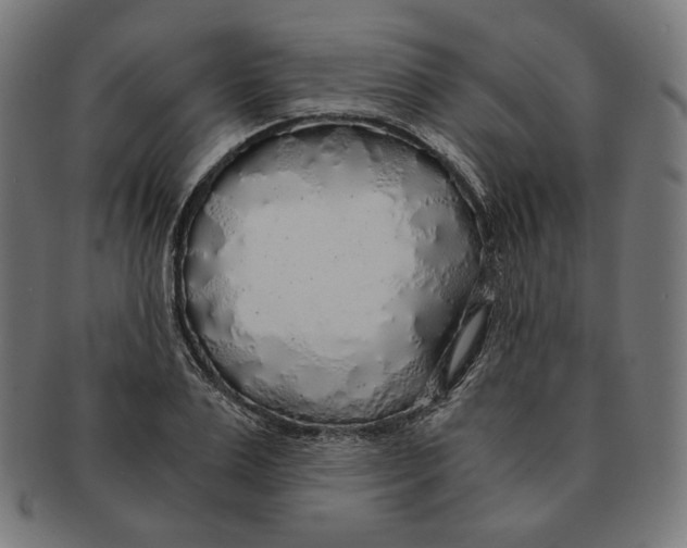 X0000091180983200709060950