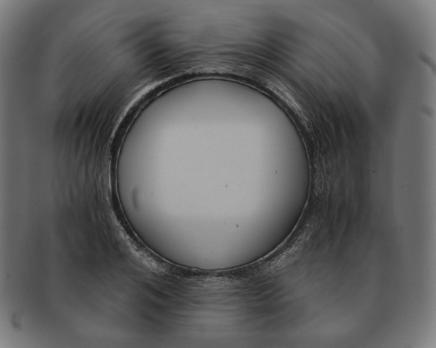 X0000091180984200709060950
