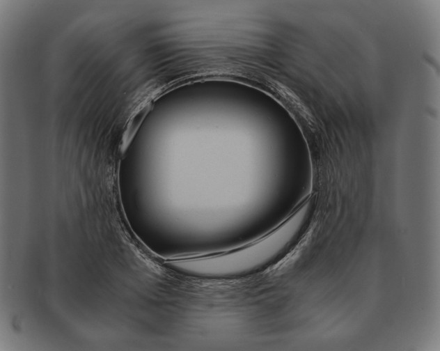 X0000091180985200709060950