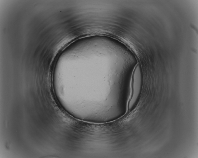 X0000091180987200709060950