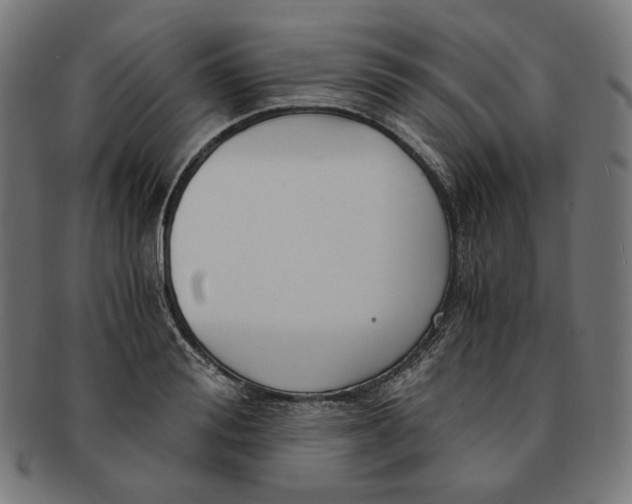 X0000091180988200709060950