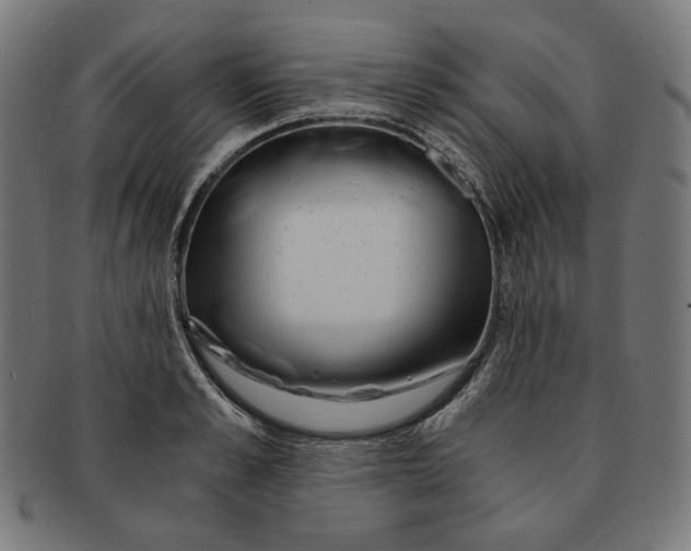 X0000091180989200709060950