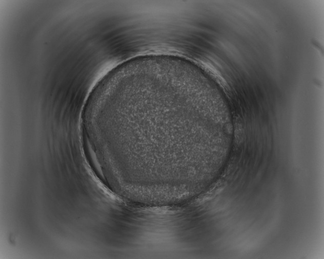 X0000091180990200709060950