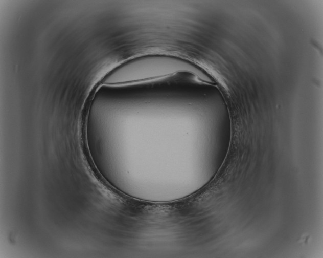 X0000091180991200709060950