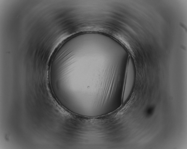 X0000091180992200709060950