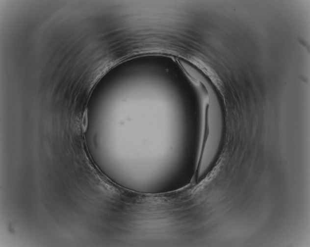 X0000091180993200709060950
