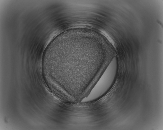 X0000091180994200709060950