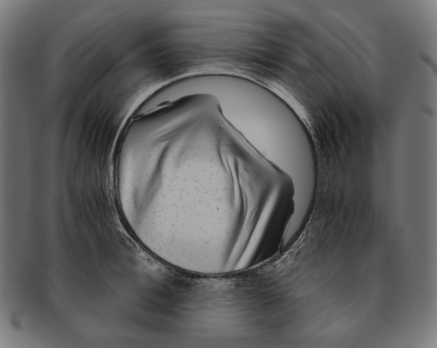 X0000091180996200709060950