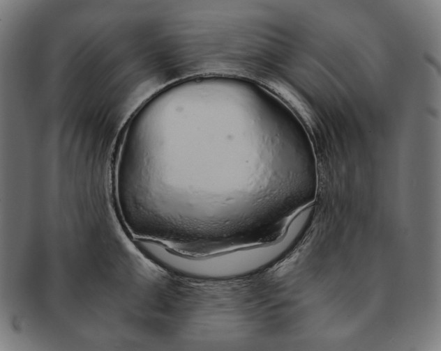 X0000091180999200709060950
