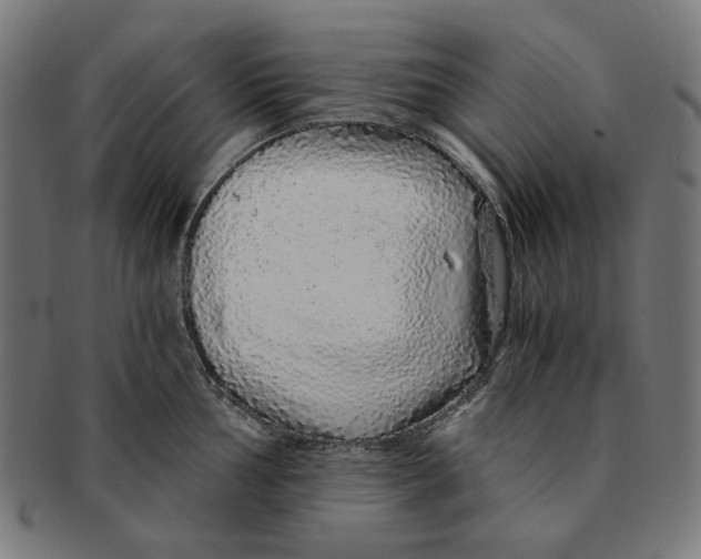 X0000091181002200709060950