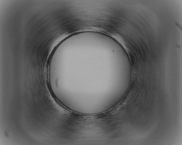 X0000091181003200709060950