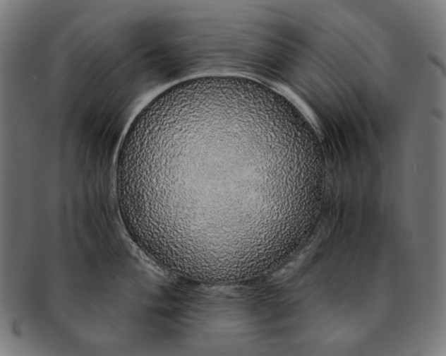 X0000091181004200709060950