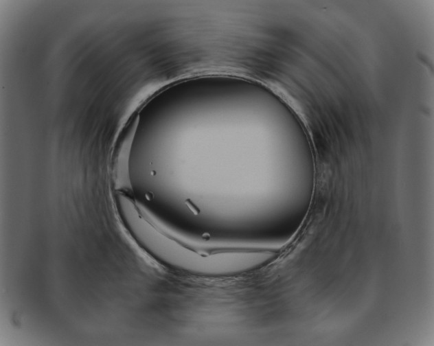 X0000091181005200709060950