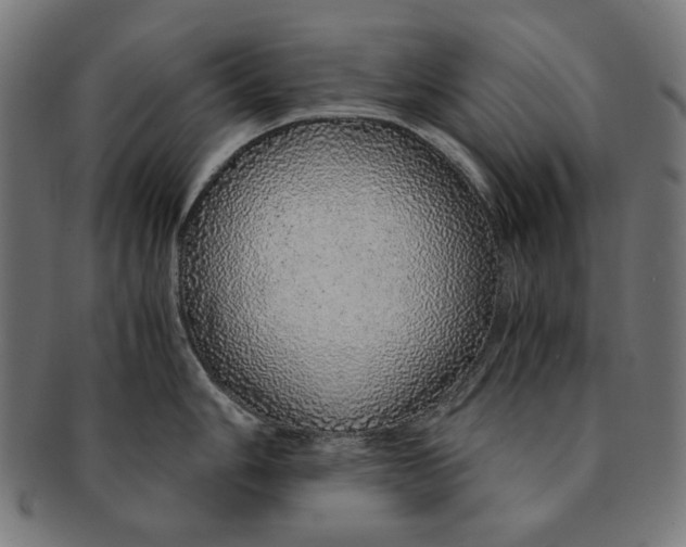 X0000091181006200709060950