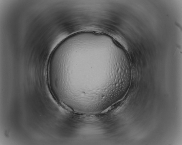 X0000091181007200709060950