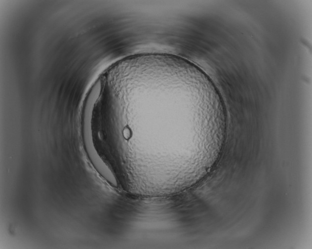 X0000091181008200709060950
