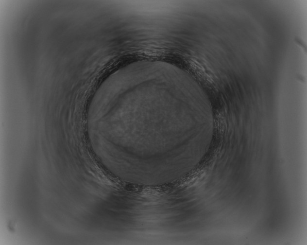 X0000091181009200709060949