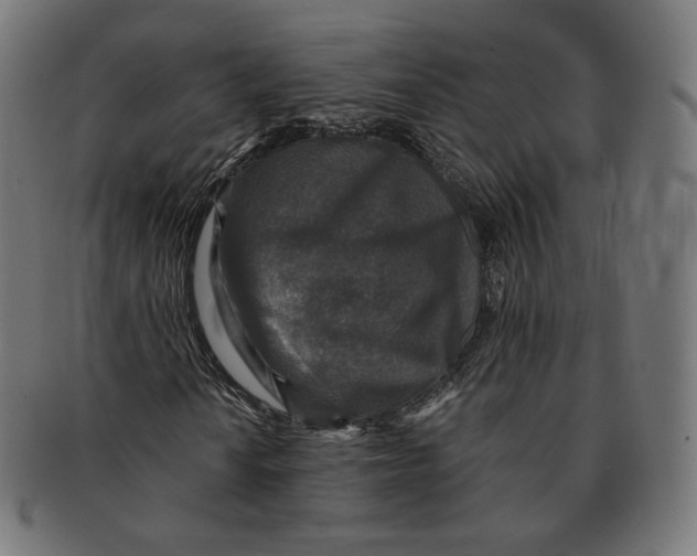 X0000091181010200709060949