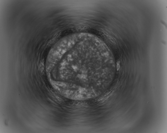 X0000091181011200709060949