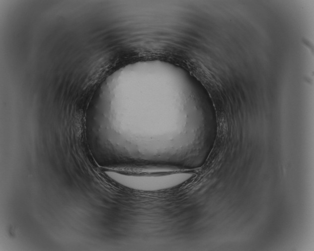 X0000091181012200709060949