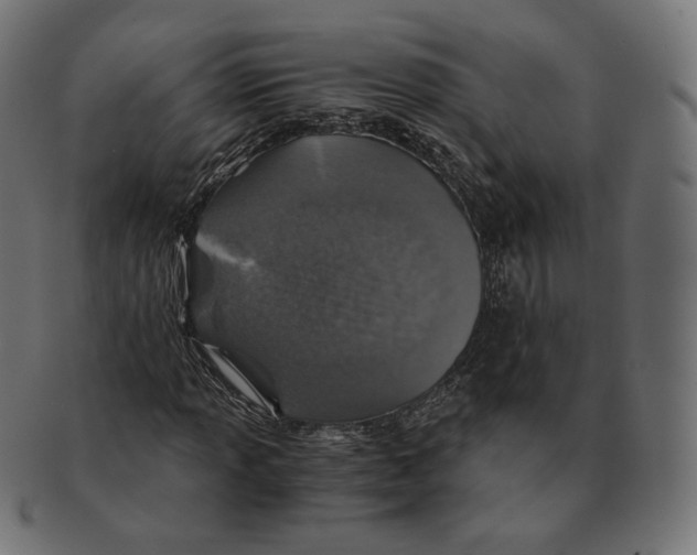 X0000091181013200709060949