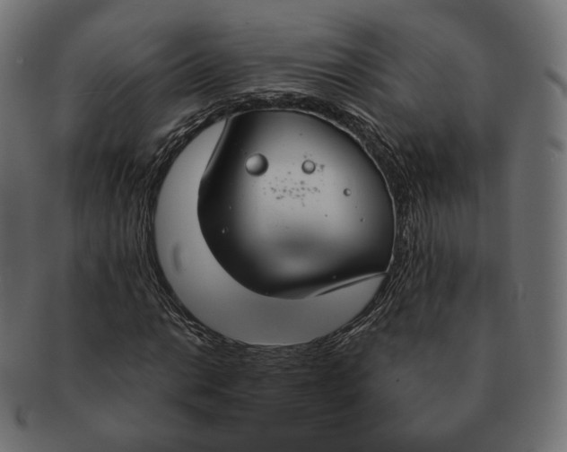 X0000091181014200709060949