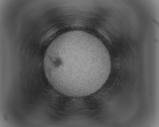 X0000091181015200709060949