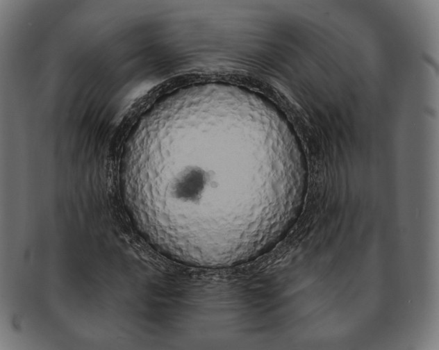 X0000091181016200709060949