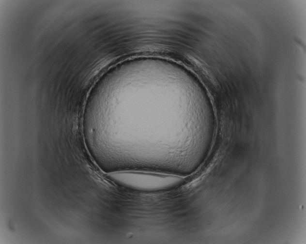 X0000091181017200709060949
