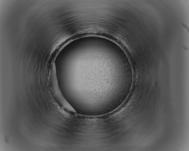 X0000091181018200709060949