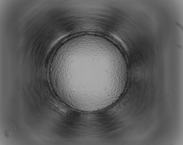 X0000091181019200709060949