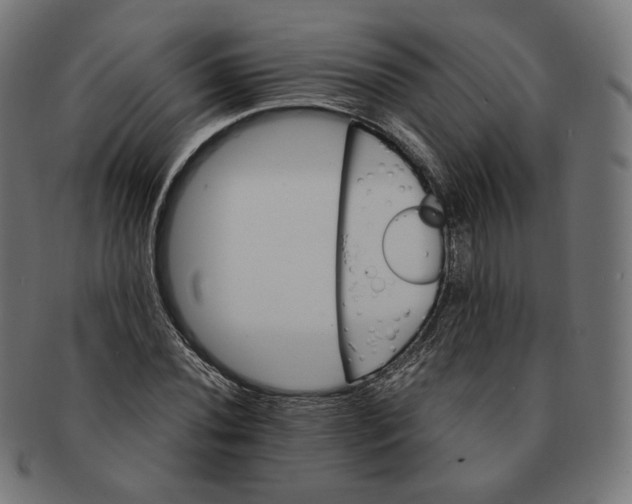 X0000091181020200709060949