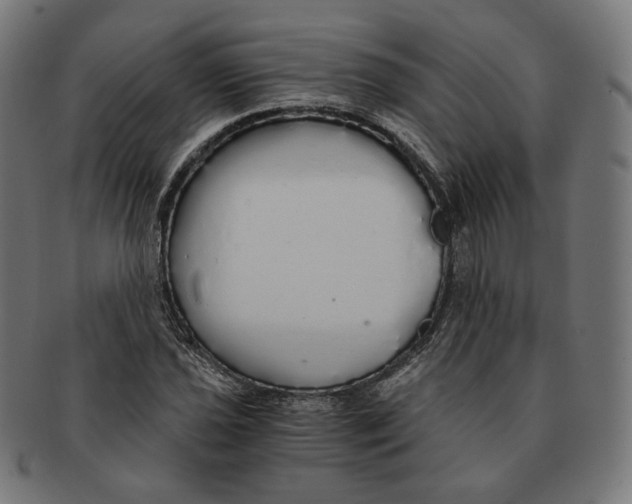 X0000091181021200709060949