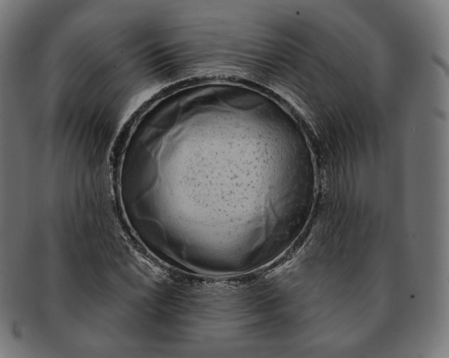 X0000091181022200709060949