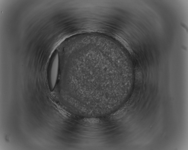 X0000091181023200709060949