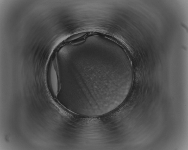 X0000091181024200709060950