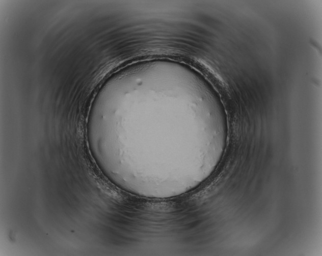 X0000091181025200709060950