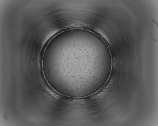 X0000091181026200709060950