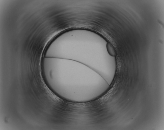 X0000091181028200709060950