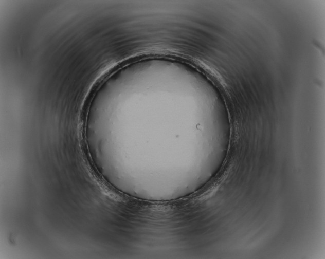 X0000091181029200709060950