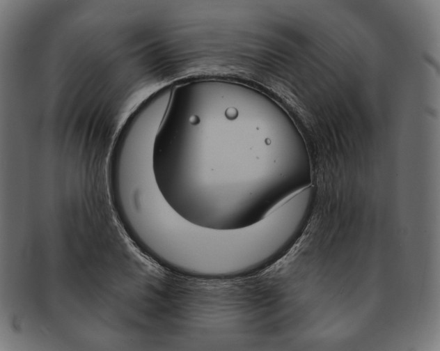 X0000091181030200709060950