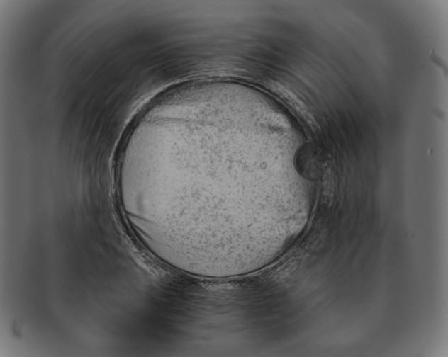 X0000091181031200709060950