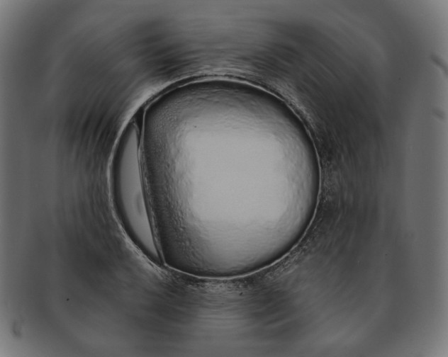 X0000091181032200709060950