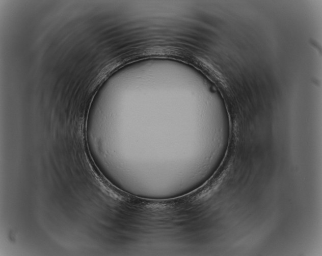 X0000091181033200709060950