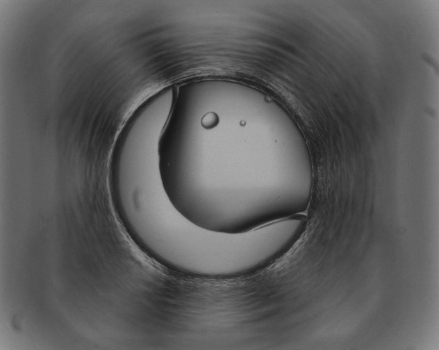 X0000091181034200709060950