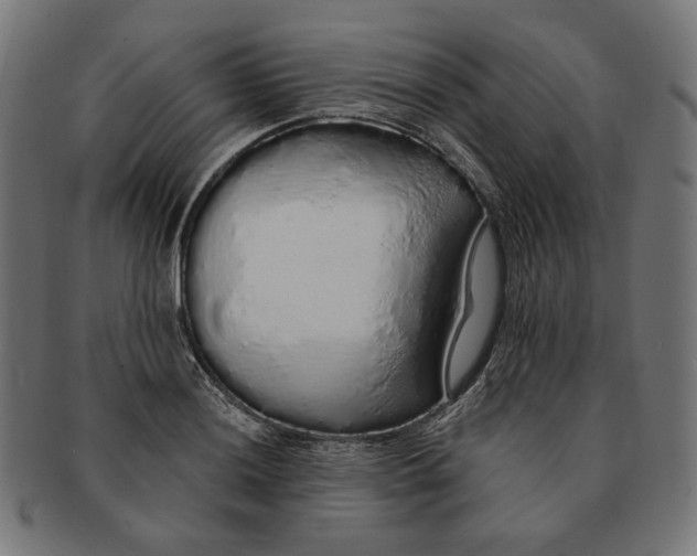 X0000091181036200709060950