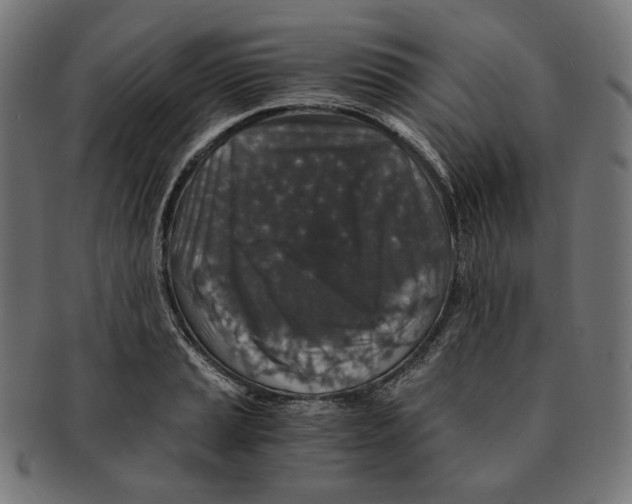 X0000091181037200709060950