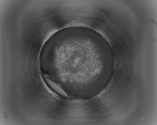X0000091181038200709060950