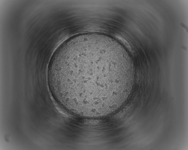 X0000091181039200709060950