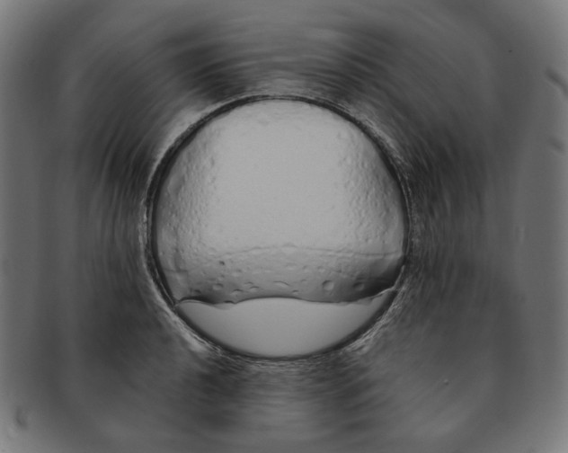 X0000091181040200709060950